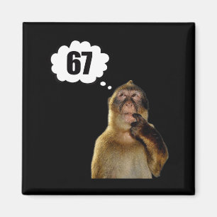 Imã Macaco Pensativo Engraçado Meme Seis Sete 6 7 Meme
