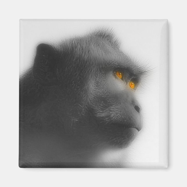 Imã Macaco Penso (Frente)