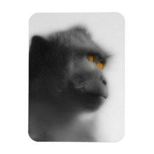Ímã Macaco Penso