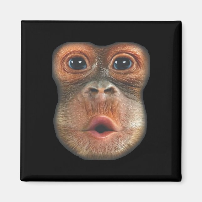 Imã Macaco soprando o rosto da barriga (Frente)
