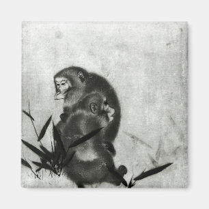Imã Macacos