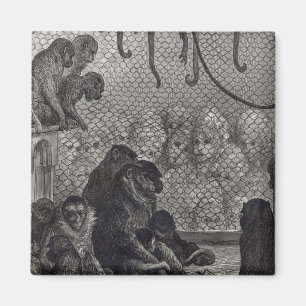 Imã Macacos de Londres