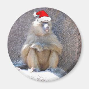 Imã Macacos e babuínos de Natal