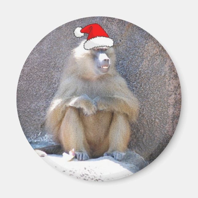 Imã Macacos e babuínos de Natal (Frente)