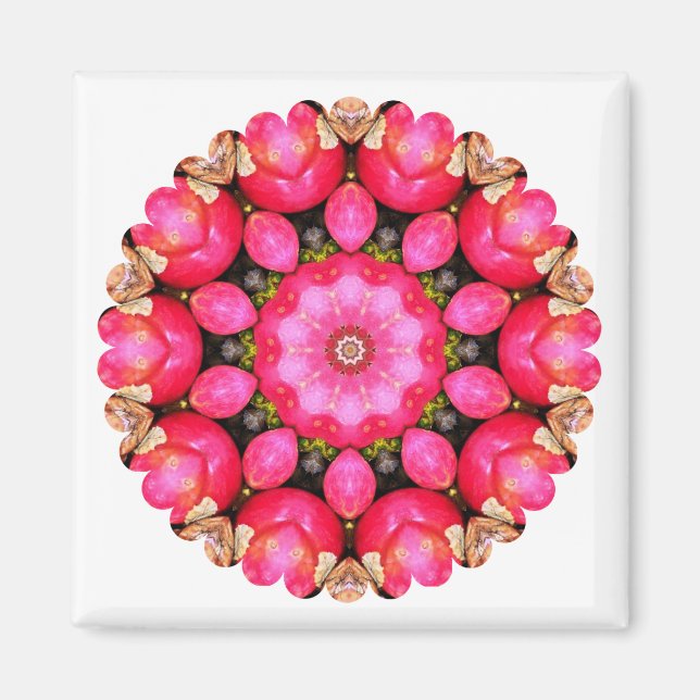 IMÃ MAÇÃS (Frente)