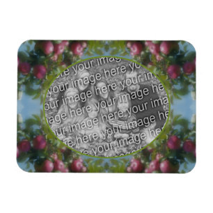 Ímã Maçãs Vermelhas No Quadro Da Árvore Adicionar Sua