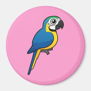 Imã Macaw Azul-e-amarelo