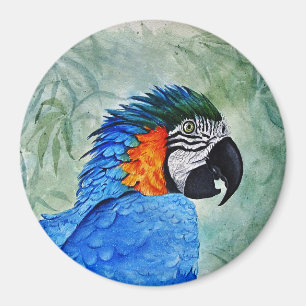 Imã Macaw azul e Dourado