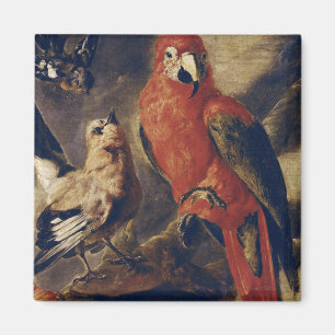 Imã Macaw e Bullfinch