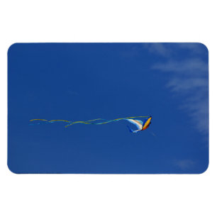 Ímã Macaw Kite