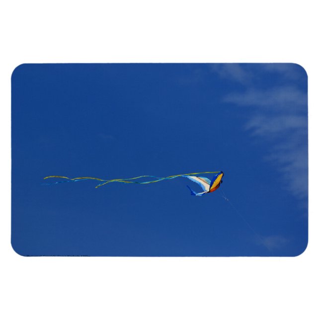 Ímã Macaw Kite (Horizontal)