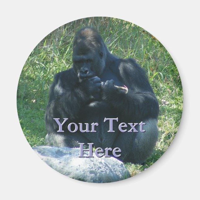 Imã Macaw Magnet (Frente)