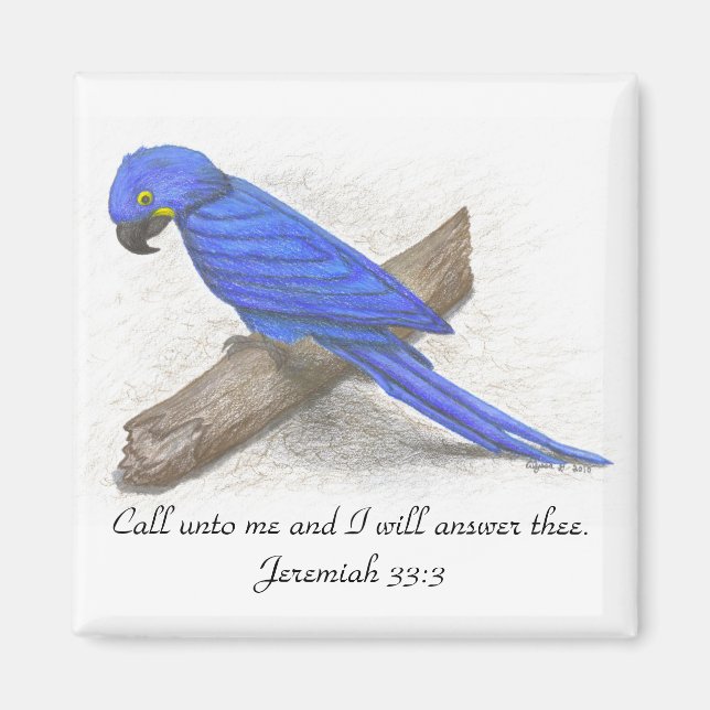 Imã Macaw Magnet (Frente)