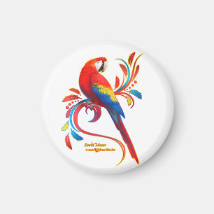 Imã Macaw-Scarlet