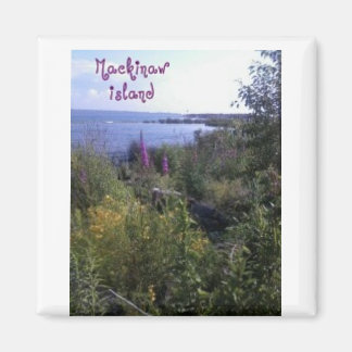 Imã Mackinaw Island Magnet