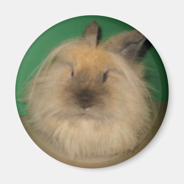 Imã Mad Bunny (Frente)