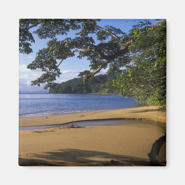 Imã Madagáscar, Reserva Especial de Nosy Mangabe, em (Frente)