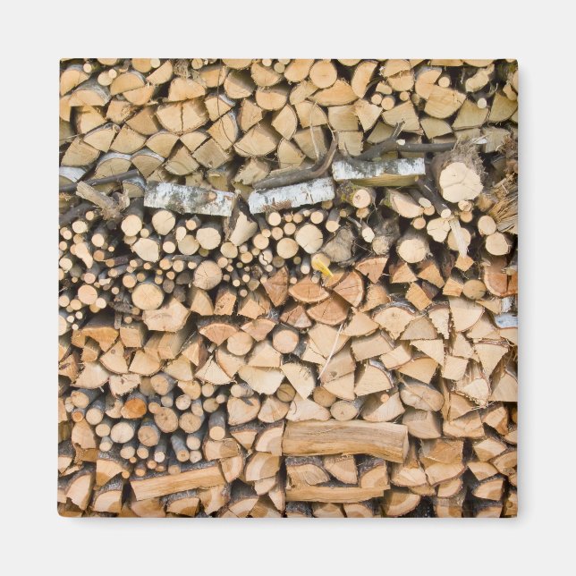 Imã Madeira cortada num ímã (Frente)