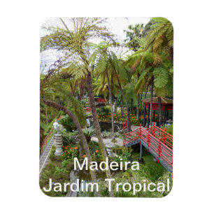 Ímã Madeira - Jardim Tropical