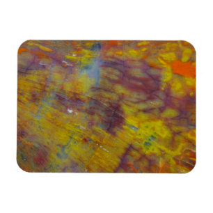 Ímã Madeira Petrificada