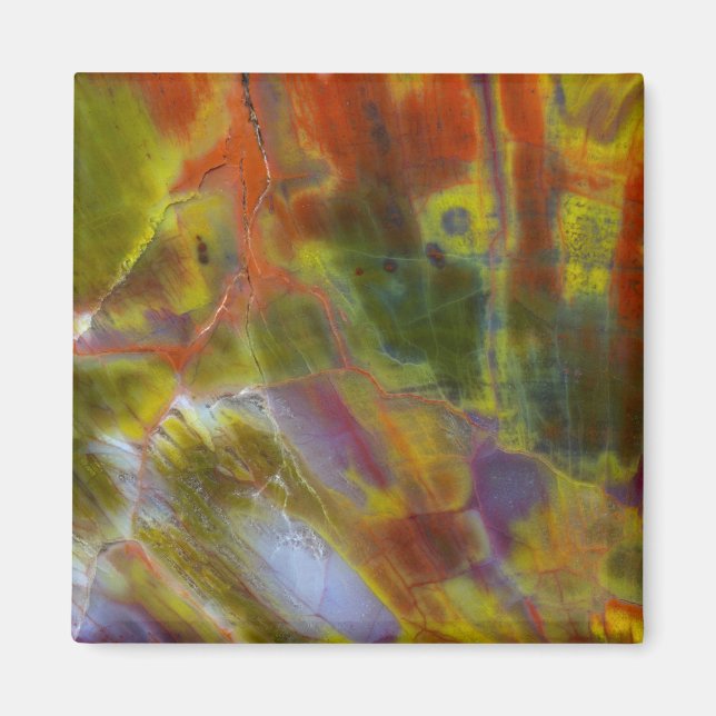 Imã Madeira Petrificada Arco-íris (Frente)