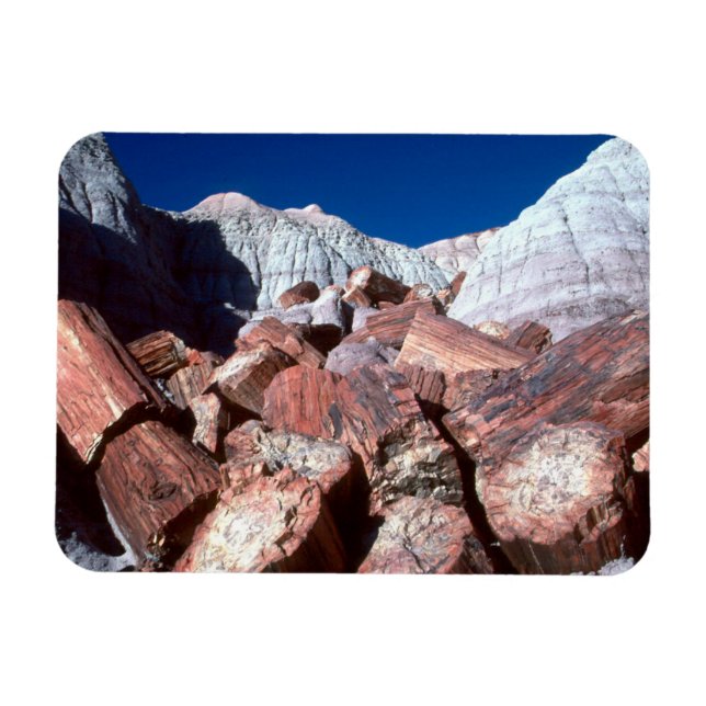 Ímã Madeira Petrificada, Floresta Petrificada NP, Ariz (Horizontal)