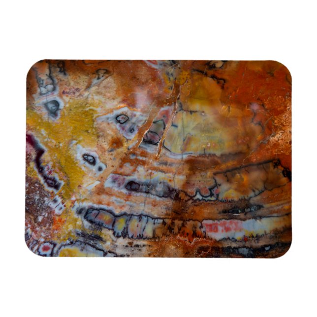 Ímã Madeira Petrificada Marrom (Horizontal)