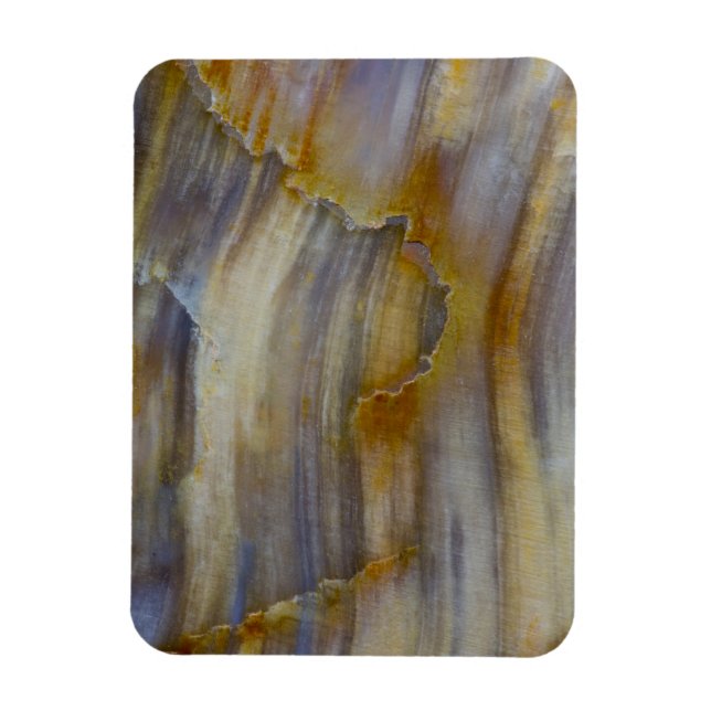 Ímã Madeira Petrificada Ondulada (Vertical)