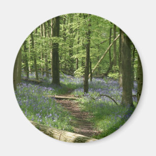 Imã Madeiras do Bluebell