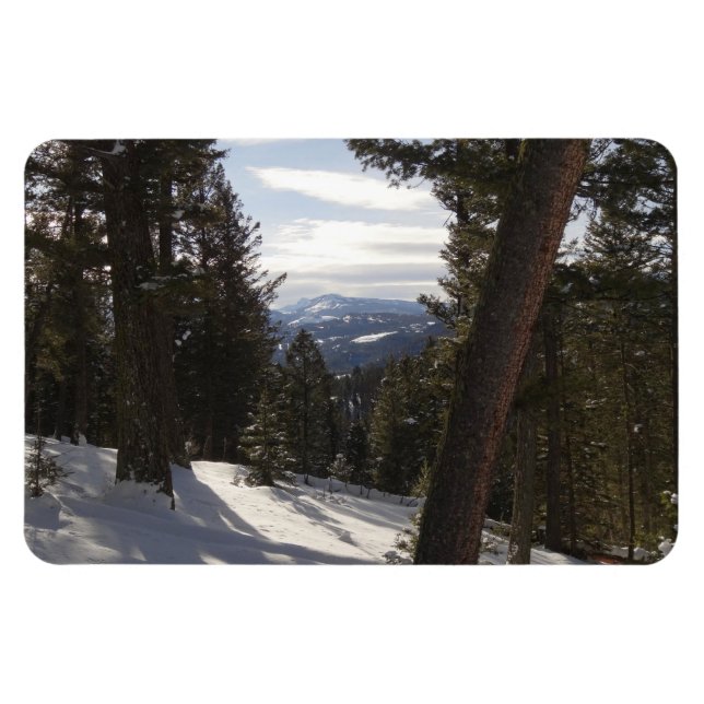 Ímã Madison Mountain em inverno em Montana (Horizontal)