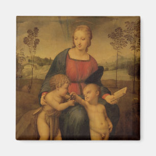 Imã Madonna do Goldfinch, c.1506