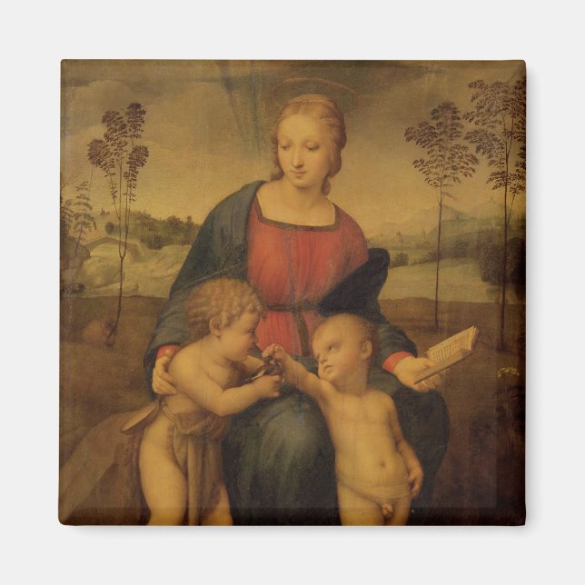 Imã Madonna do Goldfinch, c.1506 (Frente)