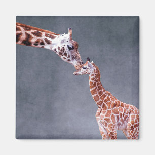 Imã Mãe das imagens de Getty & girafa do bebê