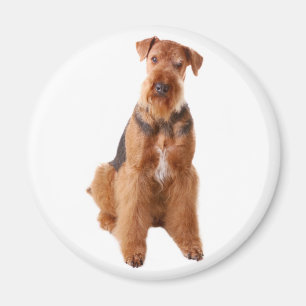 Imã Mãe de cachorro fofo amante de Airedale Terrier