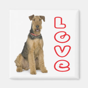 Imã Mãe de cachorro fofo amante de Airedale Terrier