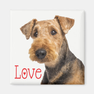 Imã Mãe de cachorro fofo amante de Airedale Terrier