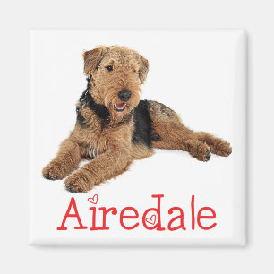 Imã Mãe de cachorro fofo amante de Airedale Terrier