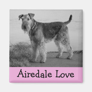 Imã Mãe de cachorro fofo amante de Airedale Terrier