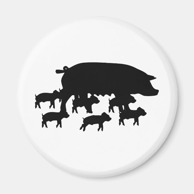 Imã mãe de suínos com ícone de suínos jovens (Frente)