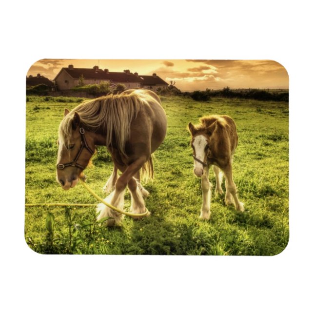 Ímã Mãe e Cavalo de Pé (Horizontal)