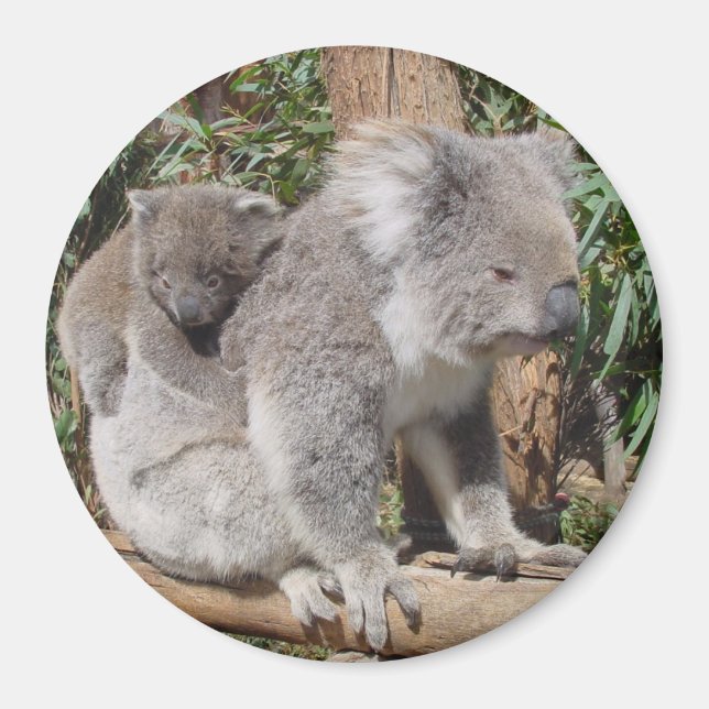 Imã Mãe e Filho (Frente)