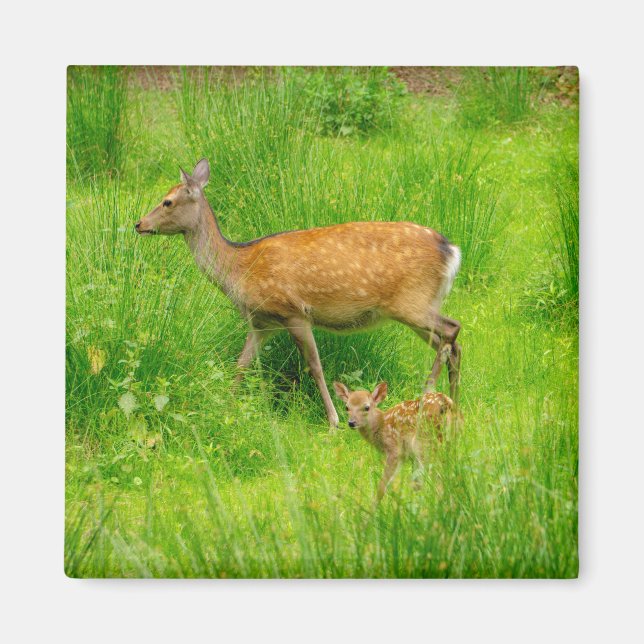 Imã Mãe e filho - veados com vassoura (Frente)