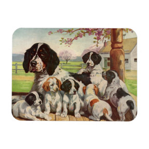 Ímã Mãe e filhotes ingleses do Springer Spaniel