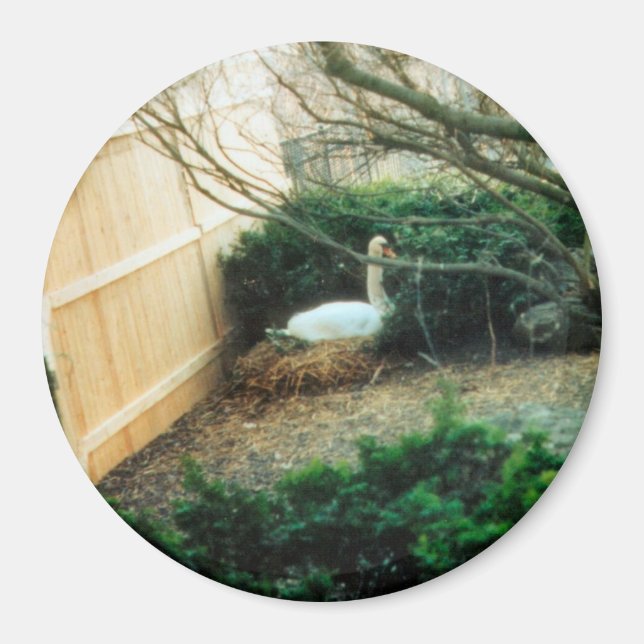 Imã Mãe Esperante (Frente)