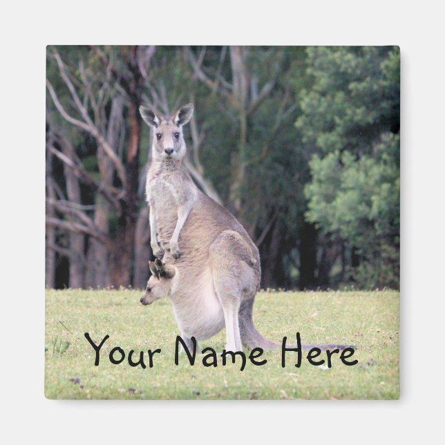 Imã Mãe Kangaroo com Bebê Joey em sua bolsa (Frente)