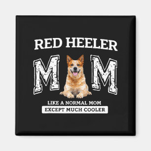 Imã Mãe red heeler como uma mãe normal, exceto que mui