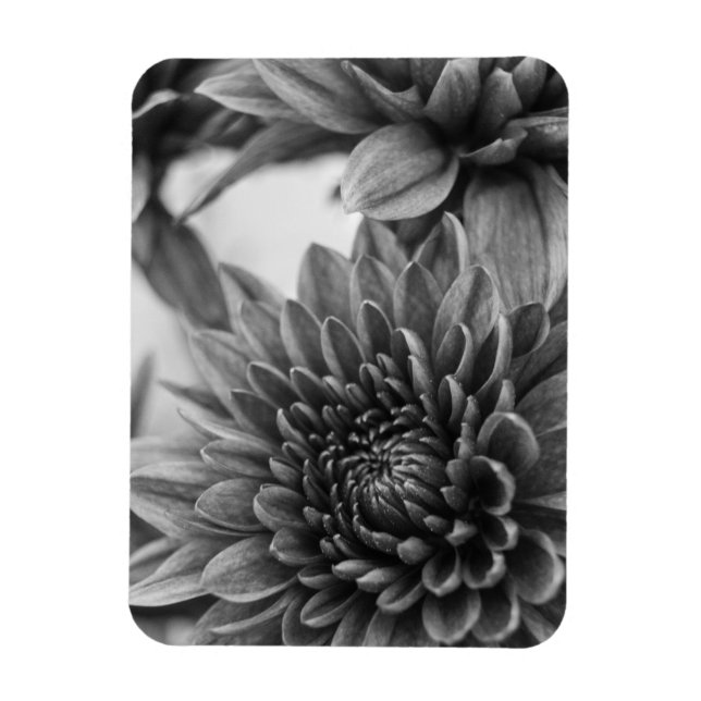 Ímã Mães (Vertical)