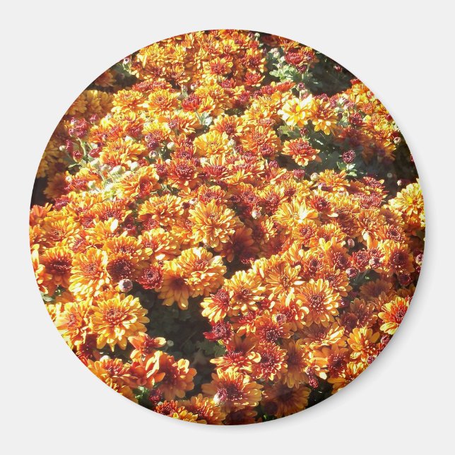 Imã Mães de outono (Frente)