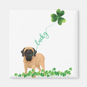 Imã Mães inglesas Lucky Dog Shamrock Rua dia de Patri
