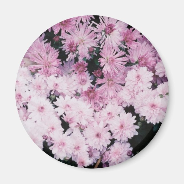 Imã mães roxas (Frente)